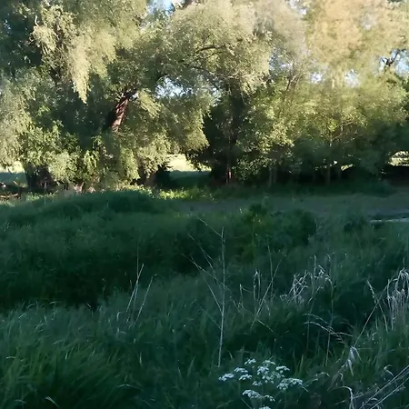 La Vida - 60 M² Διαμέρισμα Hoppegarten