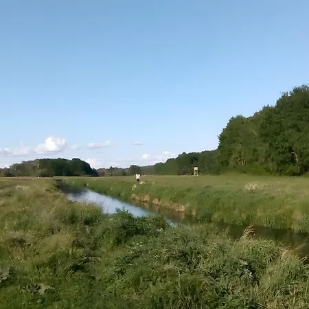 Διαμέρισμα La Vida - 60 M² Hoppegarten